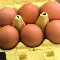 6 Barn Eggs