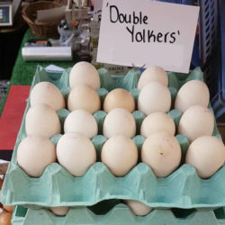 20 Double Yolk Eggs