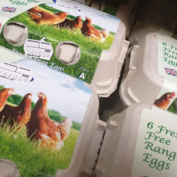 6 Free Range Eggs Boxed