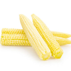 Baby Corn