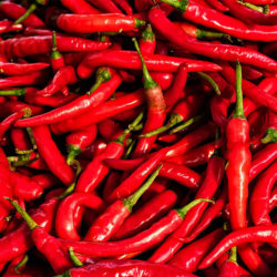 Birds Eye Chilli