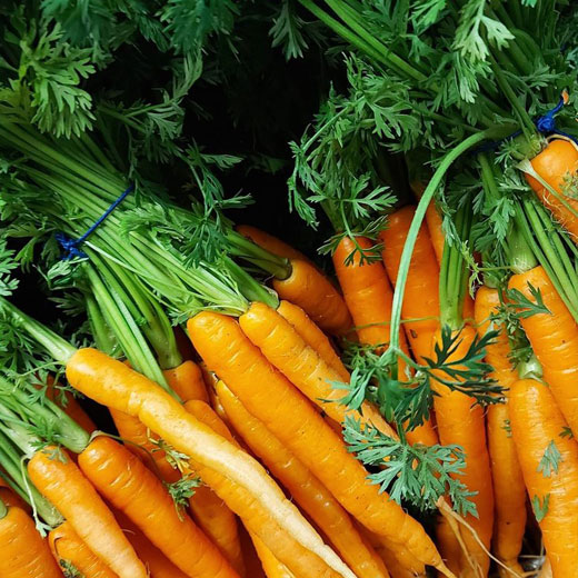 Bunch-Carrots
