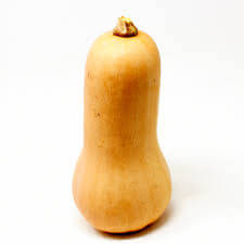 Butternut Squash