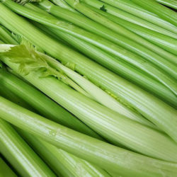 Celery