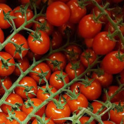 Cherry Vine Tomatoes