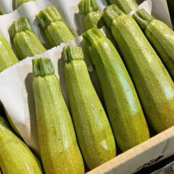 Courgettes