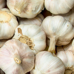 Garlic Bulb Large