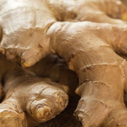 Ginger Root