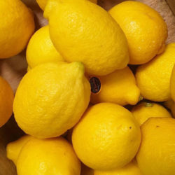 Large lemons