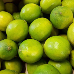 Limes