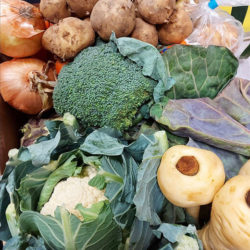 Mixed vegetable box £10