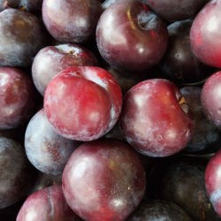 Plums