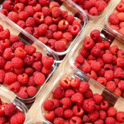 Raspberries