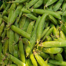 Sugar Snap Peas