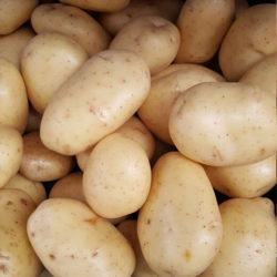 Washed Potatoes 10kg