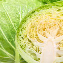 White cabbage