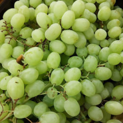 green-grapes