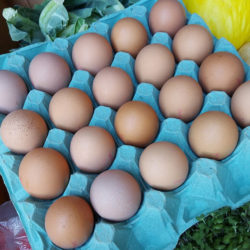 Tray of 20 Eggs Large