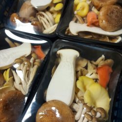 wild mushroom mix 250g