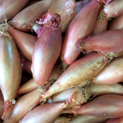 shallots (banana) 500g