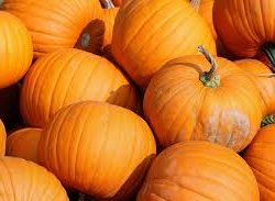 medium to large pumpkin