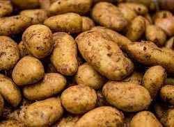 Cyprus spunta potatoes 1kg pack