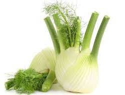 fennel bulb single