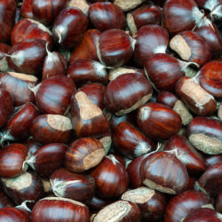 fresh chestnuts 1kg