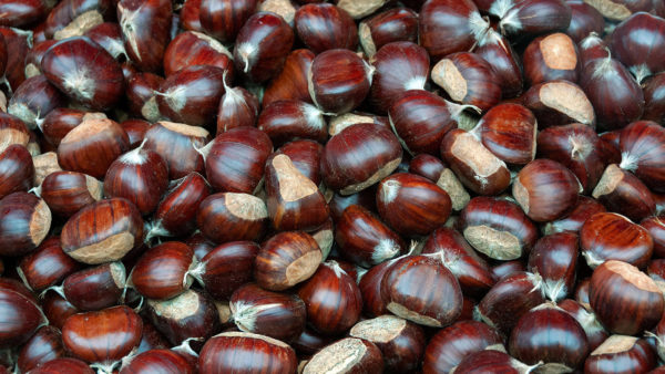 fresh chestnuts 1kg