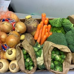 Christmas Veg Box Large (Collection 22nd before 3pm)