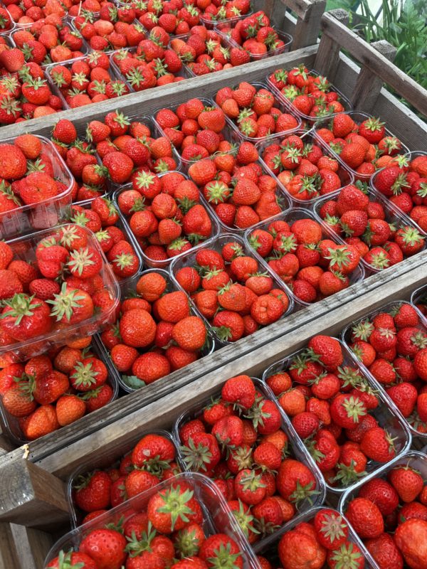 strawberries punnet Belgium  500g - Image 2