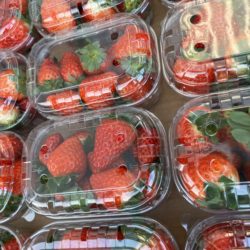 strawberries punnet Belgium 500g