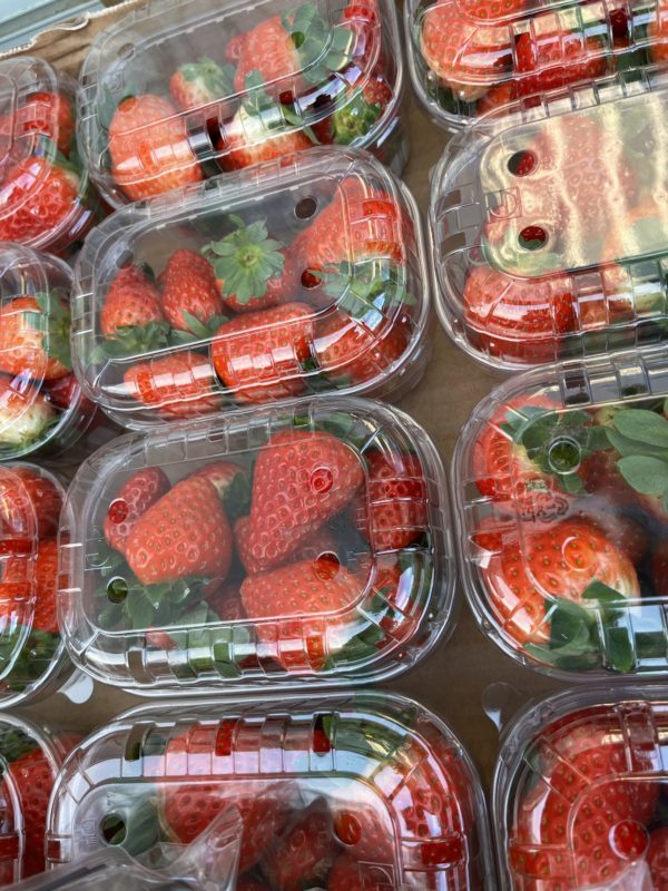 strawberries punnet Belgium  500g