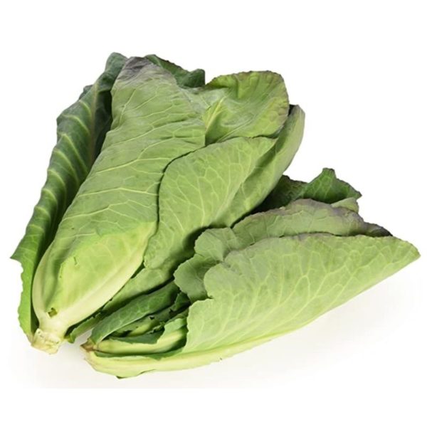 Spring Cabbage