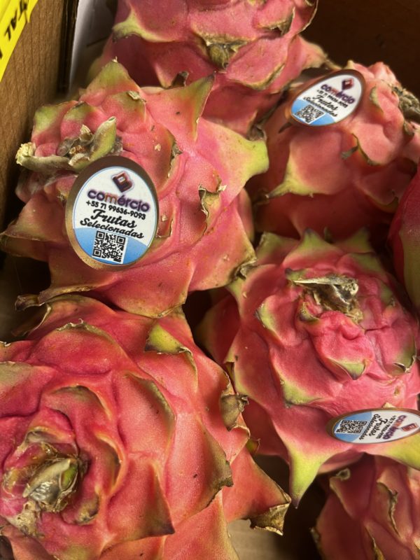 Dragon fruit - Image 3