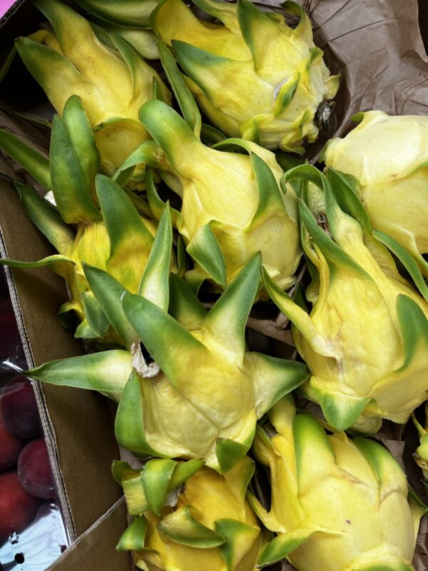 Dragon fruit - Image 2